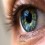 Bigeye1