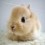 Bunnyluv11