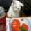 Canishi