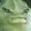 Craigvi