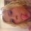 Dessy_loo