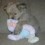 Doglover28