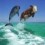 Ej2