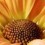 Gettowork-