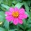 Hannah_m