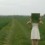 Hello_elo