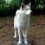 Huskyluv27