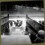 J-dog_1185