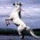 Juliana-xo