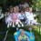 Luvmygrls