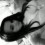 Maric