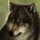 Nativewolf