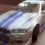 Nissguy