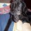 Olddog1