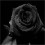 Onyxrose