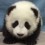 Panda92