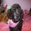 Paris_gurl