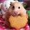 Peanut127