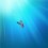 Pon_11