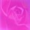Pynksunshy