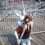 Rabbit25