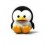 Rabia_arif