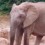 Ramraja22
