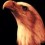 Redeagle