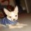 Sherrym_ky
