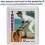 Sportscard