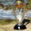 Syedaabida