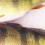 Three003d