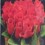 Bgirly14