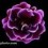 Dark_petal