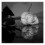 Shwetha9