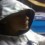 Weedy_arse