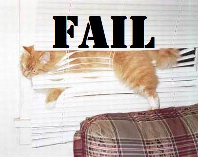 fail_cat.jpg