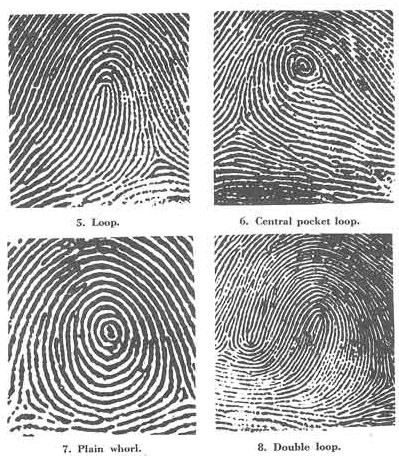 National Fingerprint and DNA
